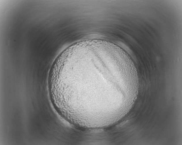 X0000067001055200604142254