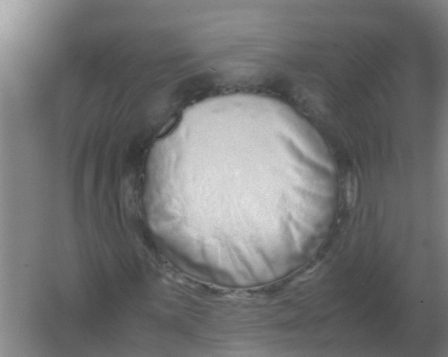 X0000067001059200604142253