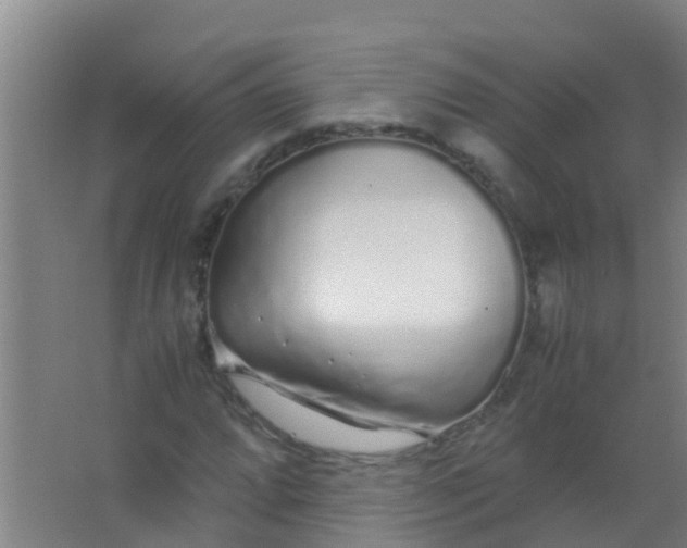 X0000067001064200604142253