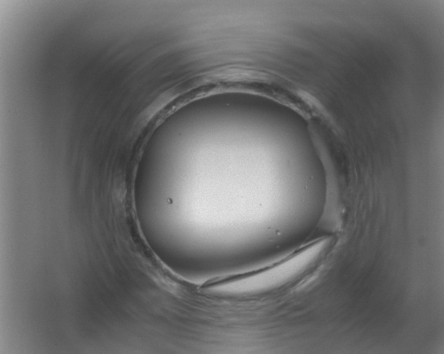 X0000067001065200604142253