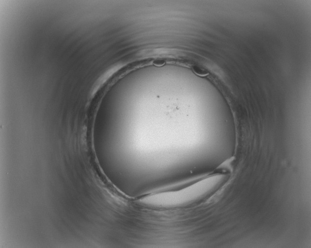 X0000067001066200604142253