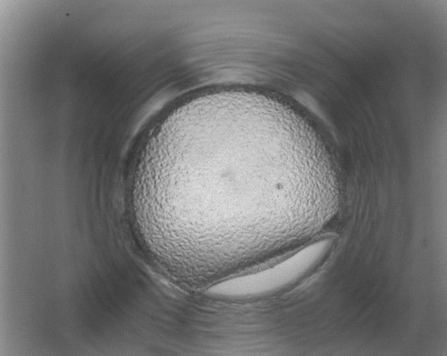 X0000067001067200604142253