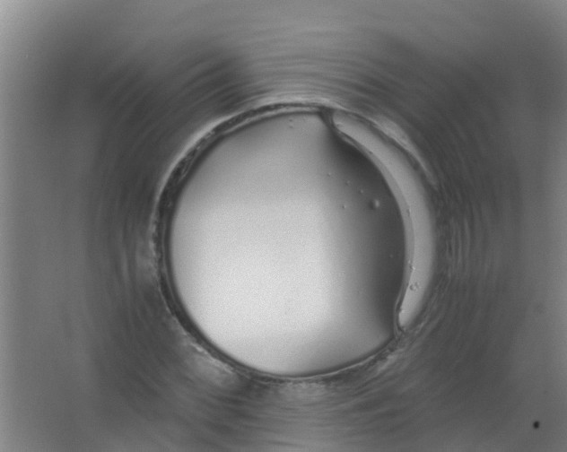 X0000067001068200604142253