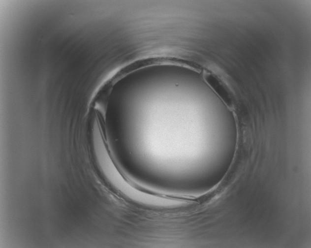 X0000067001069200604142253