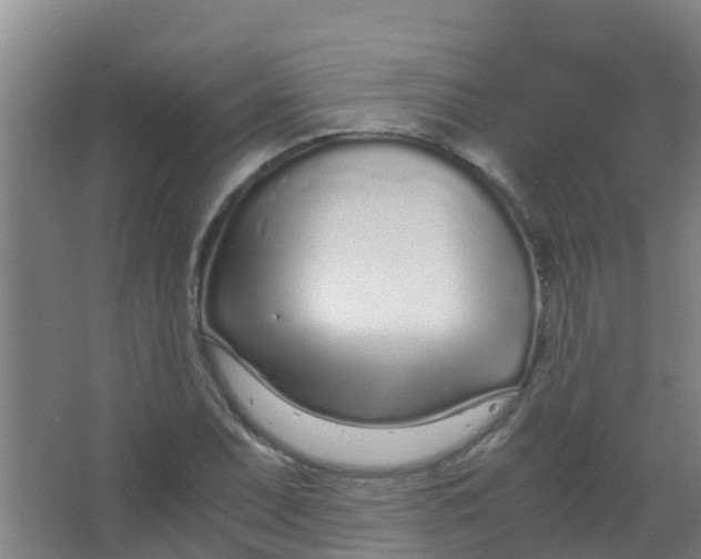 X0000067001071200604142253