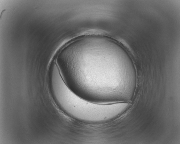 X0000067001075200604142253