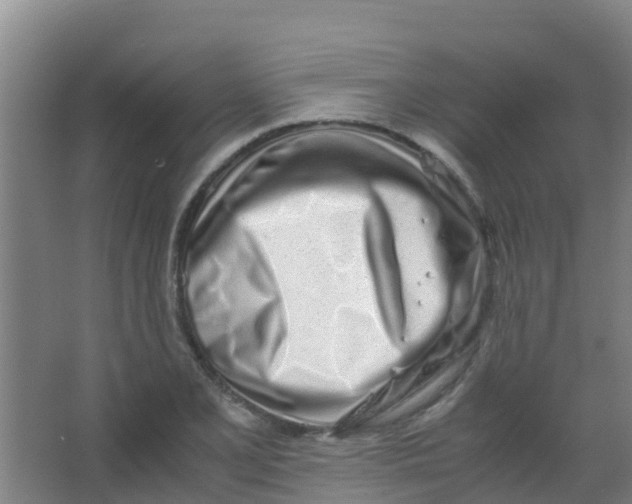 X0000067001077200604142253