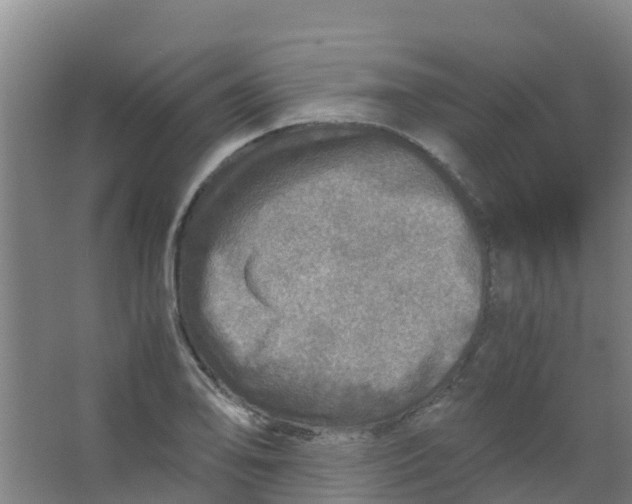 X0000067001078200604142253