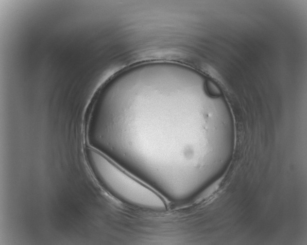 X0000067001079200604142253