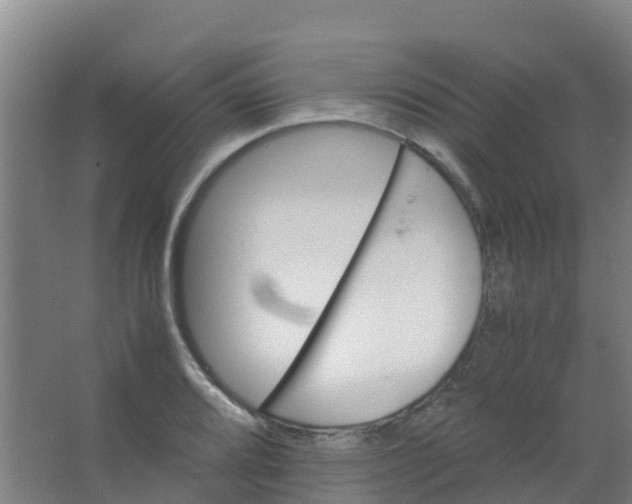 X0000067001080200604142253