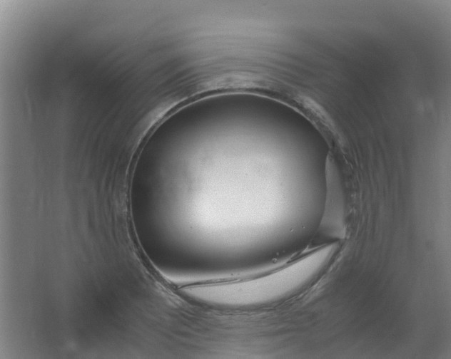 X0000067001081200604142253