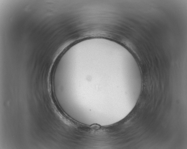 X0000067001082200604142253