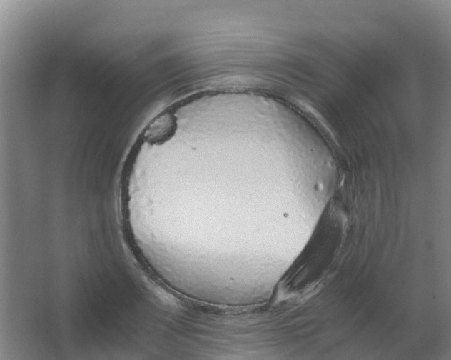 X0000067001083200604142253