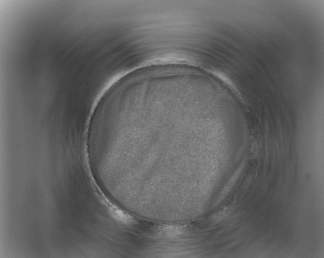 X0000067001086200604142253