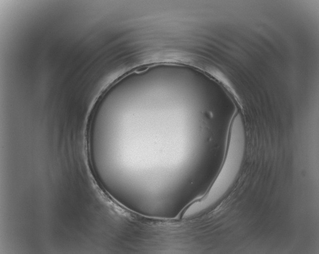 X0000067001088200604142253