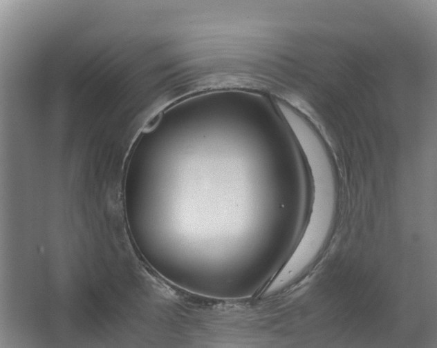 X0000067001089200604142253