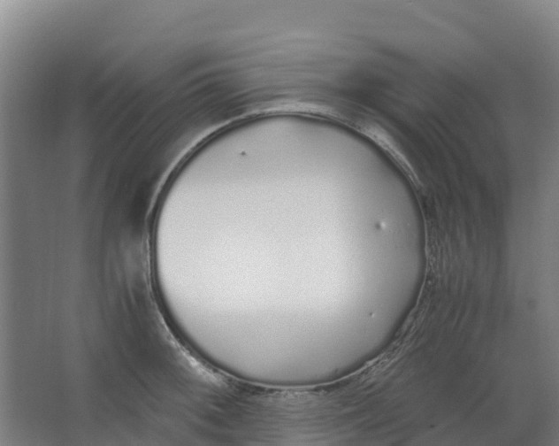 X0000067001092200604142252