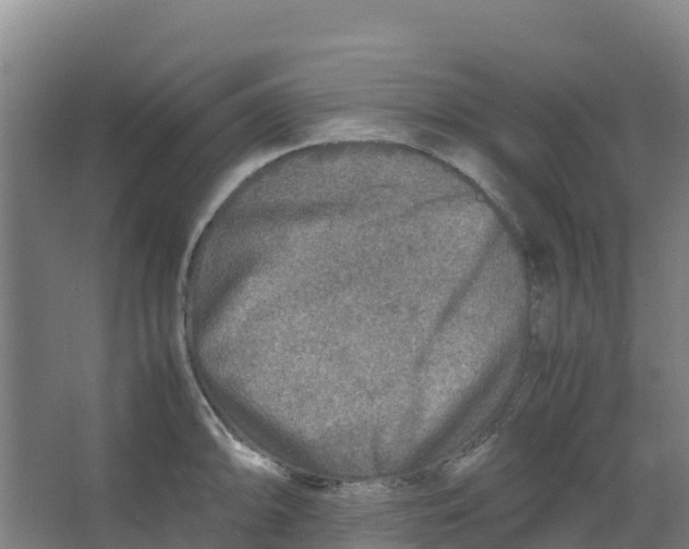 X0000067001094200604142252