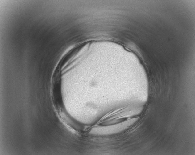 X0000067001095200604142252