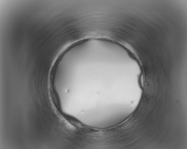 X0000067001096200604142252