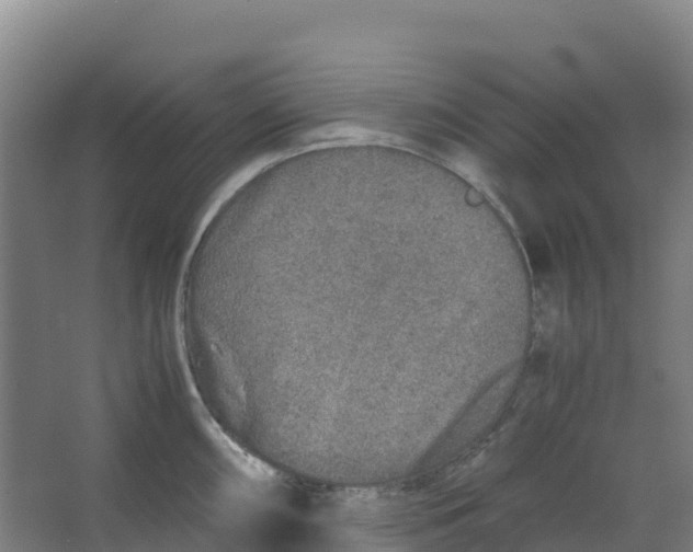 X0000067001098200604142252