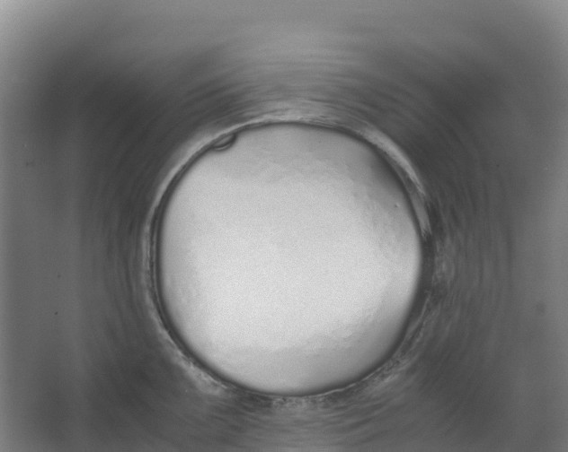 X0000067001099200604142252