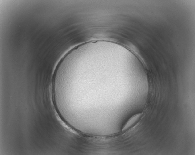 X0000067001100200604142252