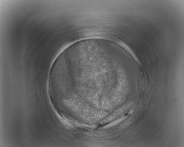 X0000067001101200604142252