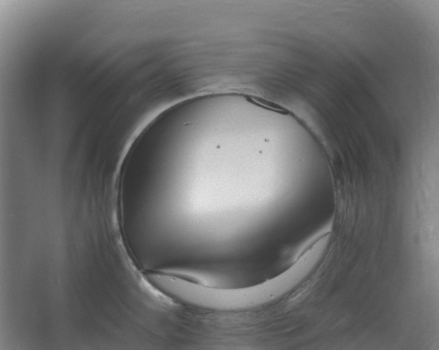 X0000067001102200604142252