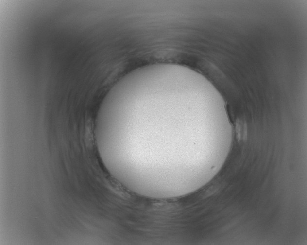 X0000067001107200604142252