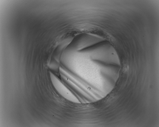 X0000067001108200604142252