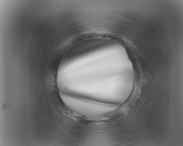 X0000067001110200604142252