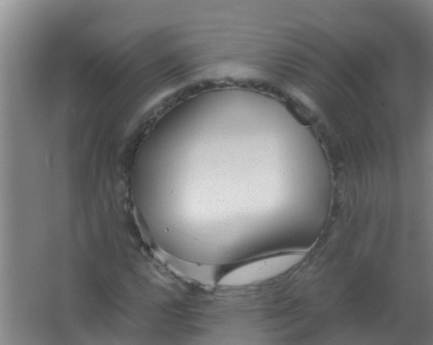 X0000067001112200604142252