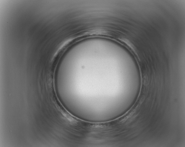 X0000067001115200604142252