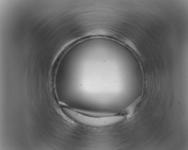 X0000067001116200604142252