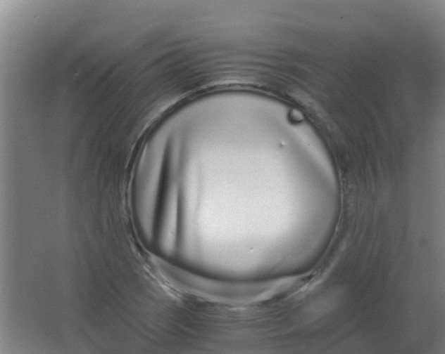 X0000067001121200604142252