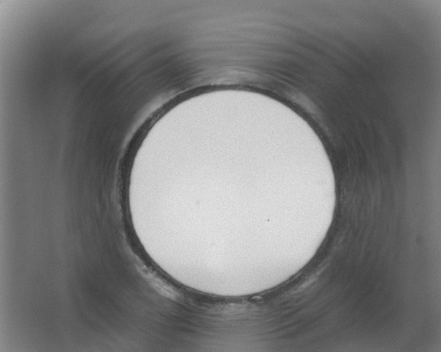 X0000067001122200604142252