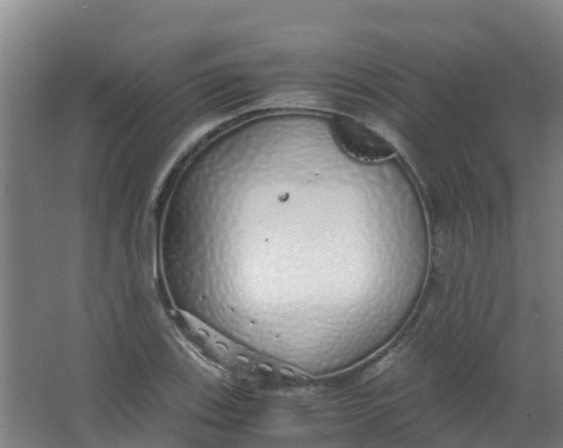 X0000067001123200604142252