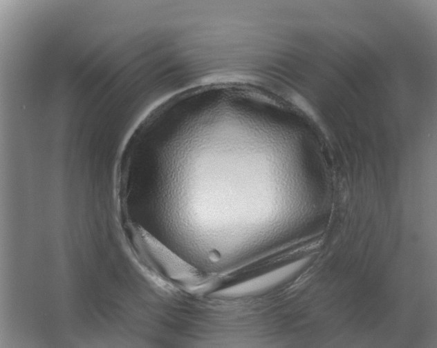 X0000067001124200604142252