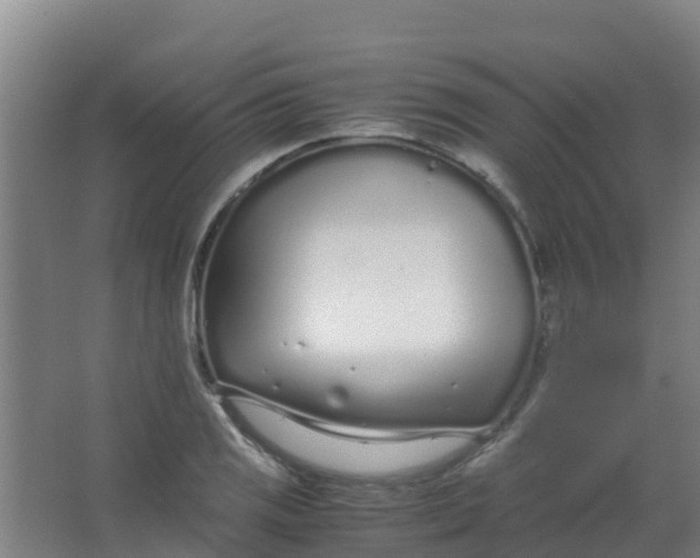 X0000067001125200604142252