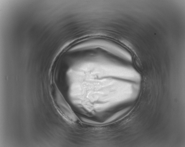 X0000067001127200604142252