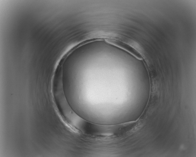 X0000067001128200604142252