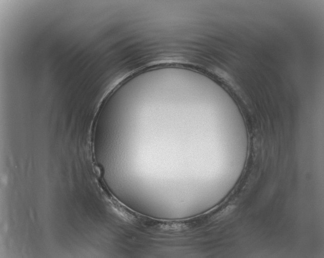 X0000067001129200604142252