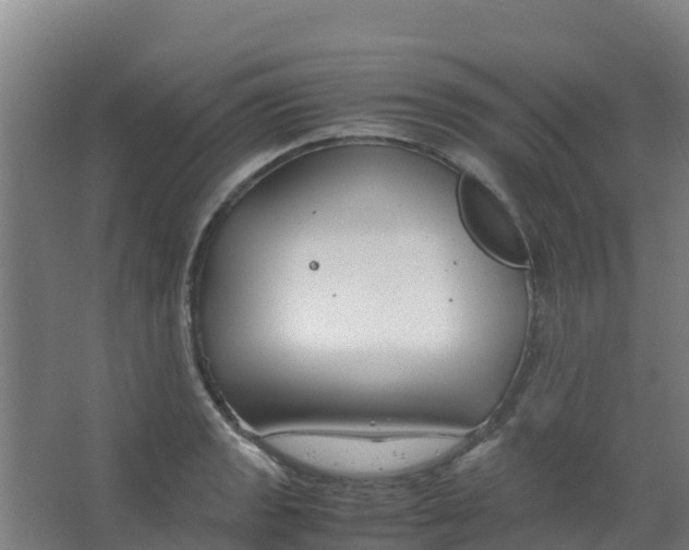 X0000067001133200604142252