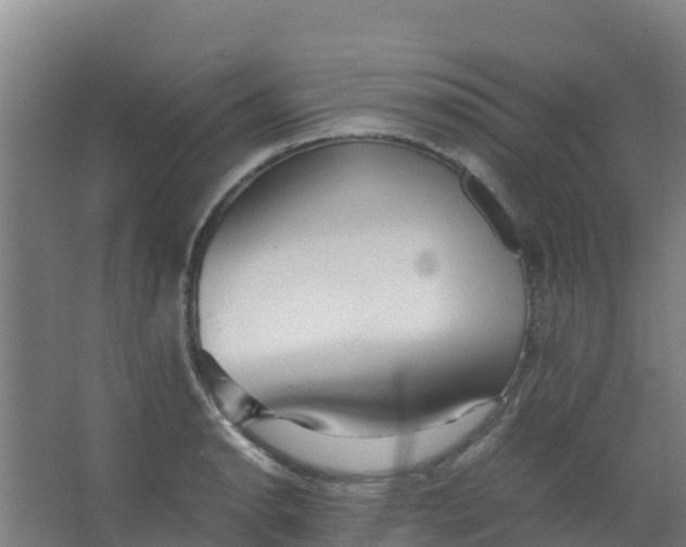 X0000067001134200604142252