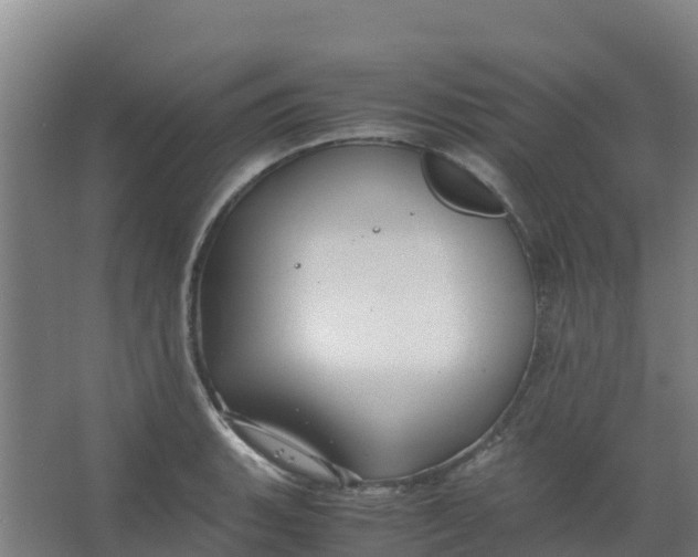 X0000067001135200604142252