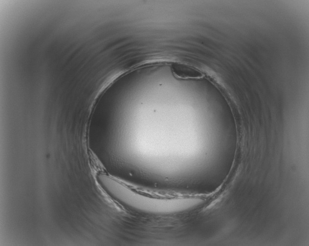 X0000067001137200604142252