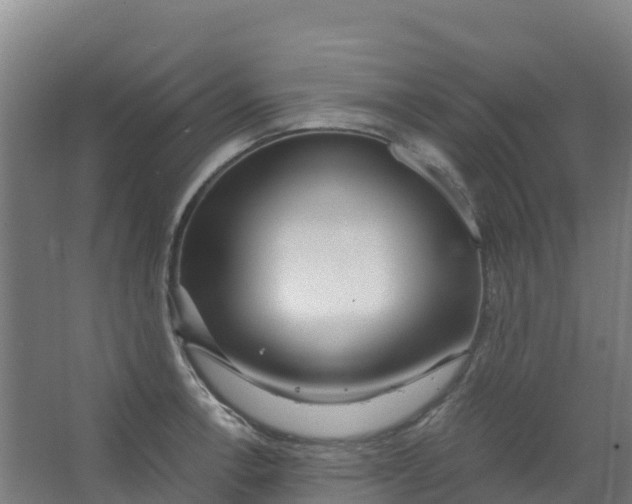 X0000067001138200604142252