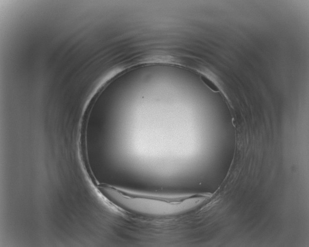 X0000067001139200604142252