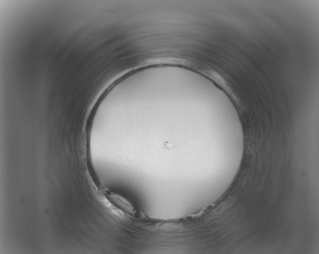 X0000067001140200604142252